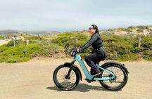 Best of San Francisco electric bike guided tour