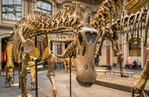 Berlin Natural History Museum guided audio tour ticket