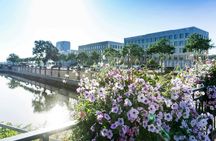 Discover Mulhouse on a guided walking tour with a local