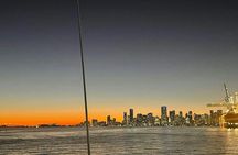 Miami scenic cruise with open bar and skyline views