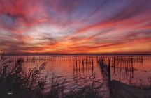 Albufera wildlife boat tour with meal included