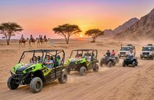 Desert safari by quad bike and 4x4 with Bedouin village dinner
