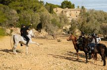 Guided horseback ride in Randa Valley