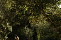 Guided horseback ride in Randa Valley