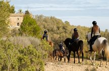 Dynamic horseback adventure through rural Mallorca