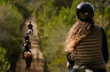Dynamic horseback adventure through rural Mallorca