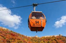 Mutianyu Great Wall and Ming Tombs Private Guided Tour