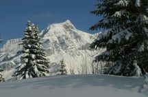 Full-day tour to Glacier 3000 and Montreux from Geneva