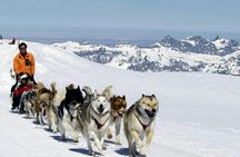 Full-day tour to Glacier 3000 and Montreux from Geneva