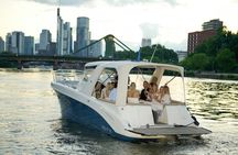 Private boat tour for up to 10 people in Frankfurt with skyline view