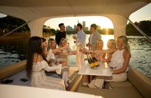 Private boat tour for up to 10 people in Frankfurt with skyline view