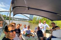 Private yacht tour for up to 12 people in Frankfurt with skyline view