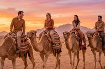 Sand Buggy Evening Experience with Dinner and Show in Hurghada Desert