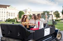 Vienna tour and 3-course gourmet dinner in a classic oldtimer