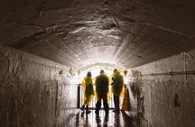 Niagara Falls Skylon Tower and behind the falls guided tour