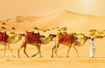 Morning desert safari with dune bashing, sandboarding, and camel ride