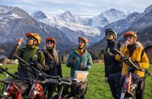 Guided scenic winter e-bike tour from Wilderswil