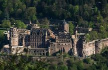 Day tour to Heidelberg with a local guide