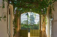 Seville Bodegas Góngora sensory tour with tasting experience