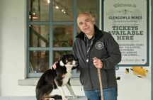 Connemara, Killary sheep farm and Galway day trip from Dublin