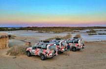Naqb National Park in a 4x4 with camel ride and dinner