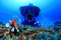 Mauritius submarine tour