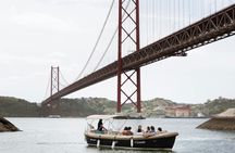 Pastel de nata, bar and dolphins on a cruise in Lisbon