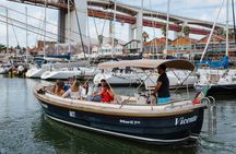 Pastel de nata, bar and dolphins on a cruise in Lisbon