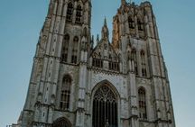 Private guided tour of Brussels' cultural and historical heritage
