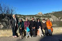 Les Baux-de-Provence tour with Carrières de Lumières and wine tasting