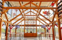 Toronto Niagara Falls evening tour