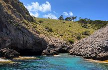 Morning boat tour in Alcudia Bay with tapas and snorkelling