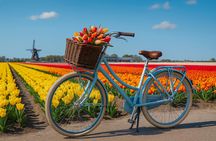 Tulip Fields bike tour near Keukenhof with transfer and digital guide