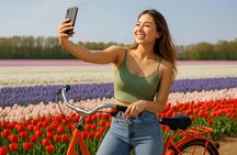 Tulip Fields bike tour near Keukenhof with transfer and digital guide