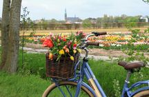 Tulip Fields bike tour near Keukenhof with transfer and digital guide