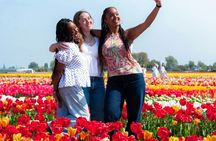 Tulip experience self-guided half-day tour in Amsterdam