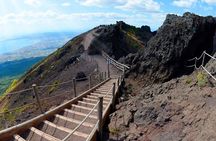 Access to Vesuvius National Park with minibus transfer
