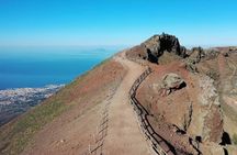 Access to Vesuvius National Park with minibus transfer