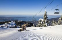 Grouse Mountain Admission Ticket