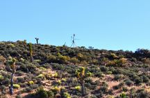 Area 51 "Top Secret" tour from Las Vegas