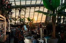 London Sky Garden Music Night ticket with a glass of Champagne