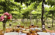 Roshnik village tour and Alpeta Winery tasting