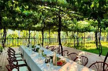 Roshnik village tour and Alpeta Winery tasting