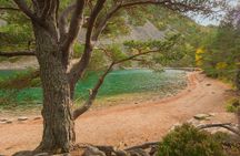 Guided walking tour through Cairngorms from Edimburgh