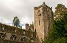 Guided walking tour through Cairngorms from Edimburgh