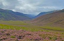 Scottish Highlands full-day guided walking tour