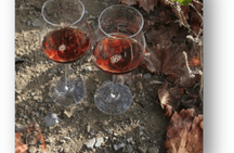 Commandaria wine full-day culinary tour from Limassol
