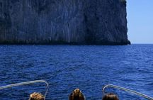 Palinuro Boat Trip