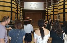 Saint-Émilion winery and medieval village tour