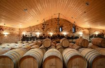 Saint-Émilion and Pomerol wine tour